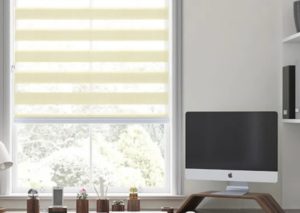 office window blinds